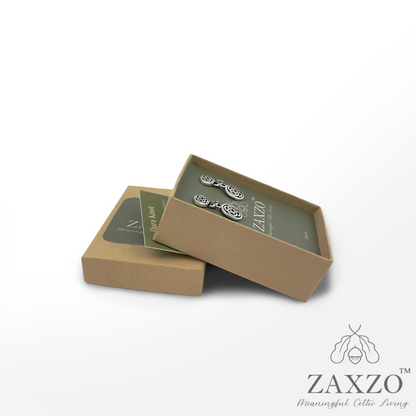 Platinum post small silver Dara earrings in open gift box with card explaining the meaning.
